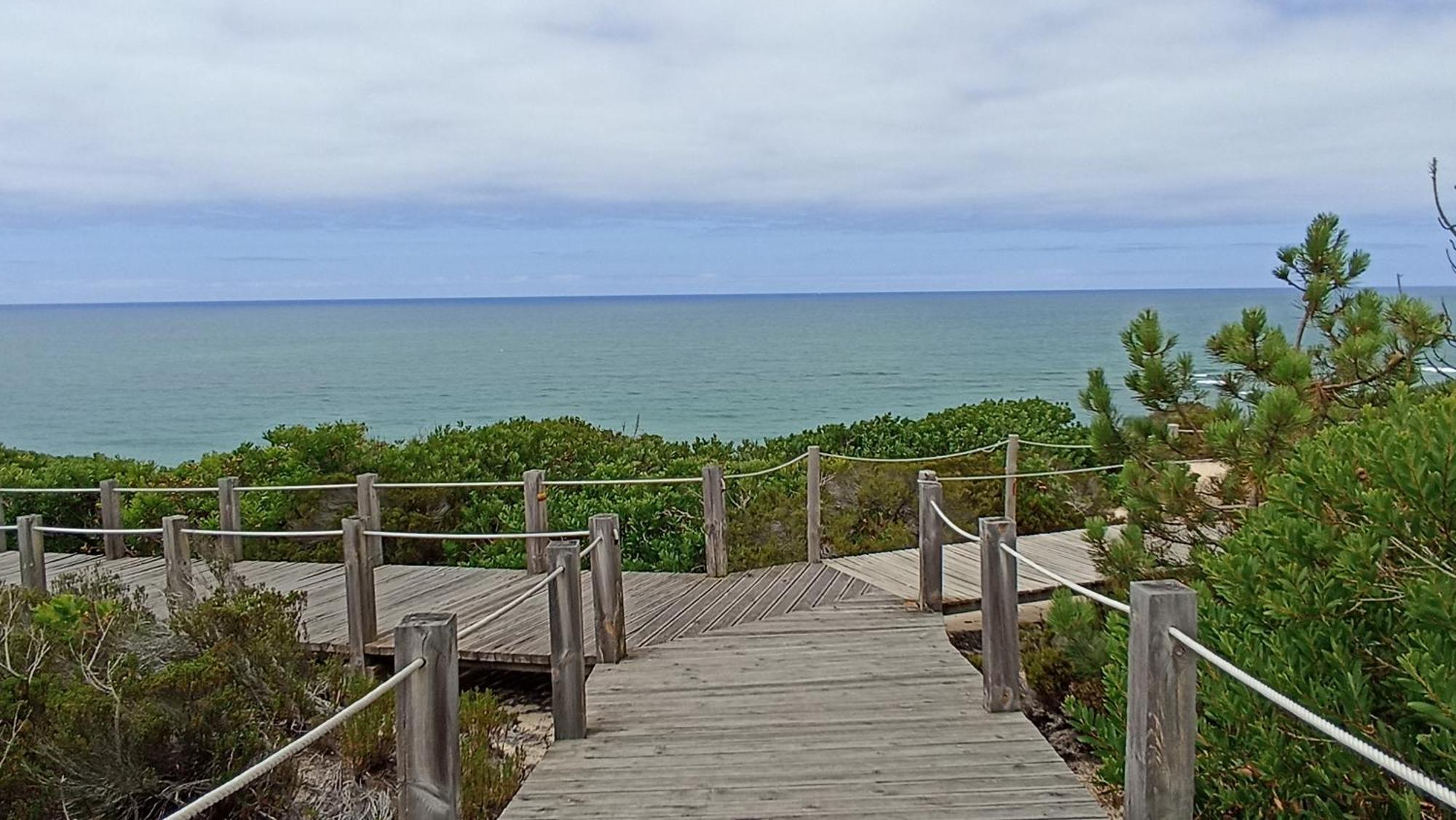 Tinyhouse Tilda - Near Famous Beaches Pataias Eksteriør billede