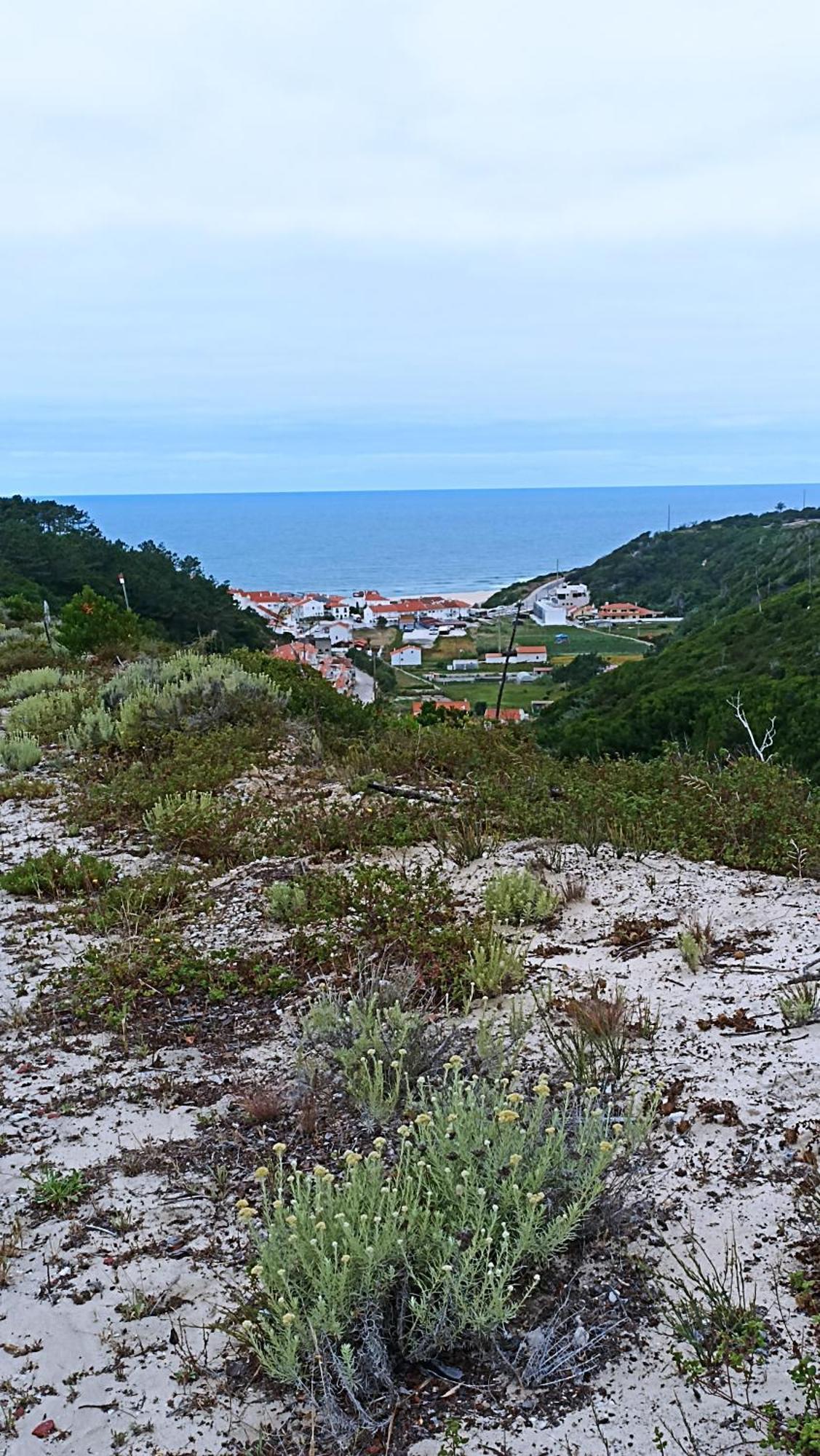 Tinyhouse Tilda - Near Famous Beaches Pataias Eksteriør billede