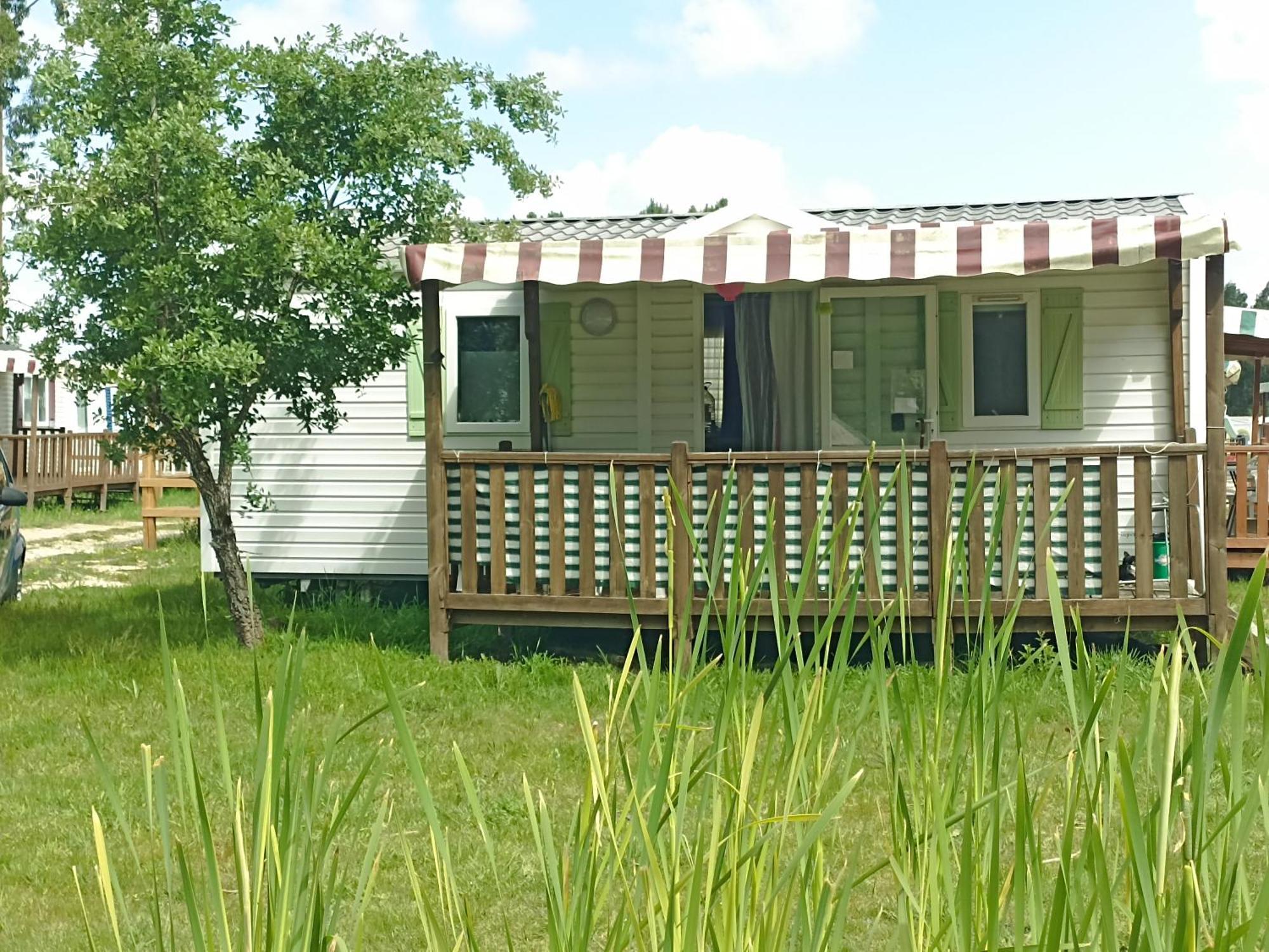 Tinyhouse Tilda - Near Famous Beaches Pataias Eksteriør billede
