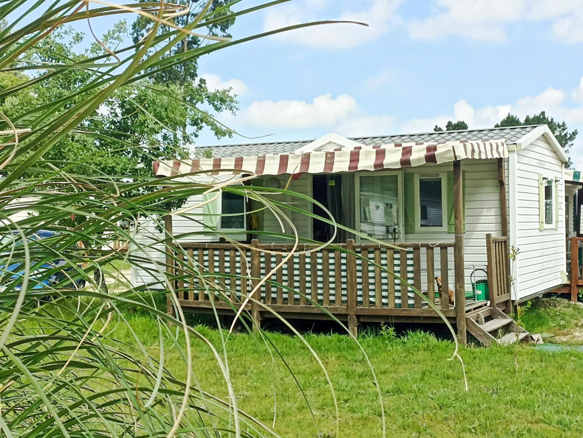 Tinyhouse Tilda - Near Famous Beaches Pataias Eksteriør billede