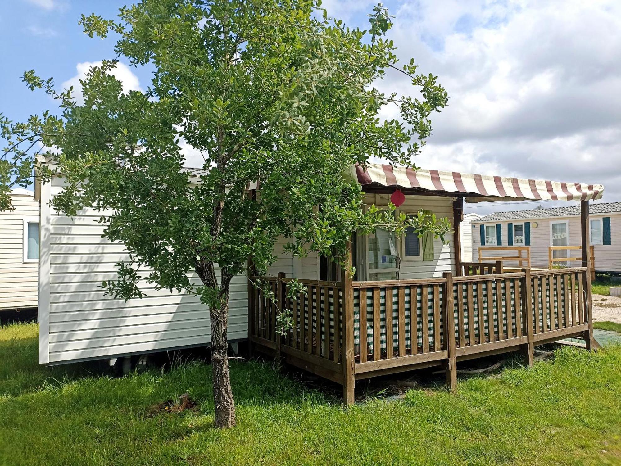 Tinyhouse Tilda - Near Famous Beaches Pataias Eksteriør billede