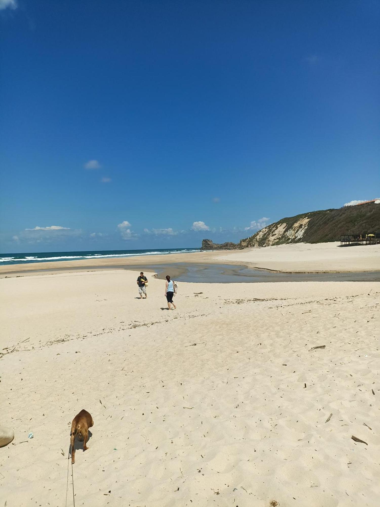 Tinyhouse Tilda - Near Famous Beaches Pataias Eksteriør billede