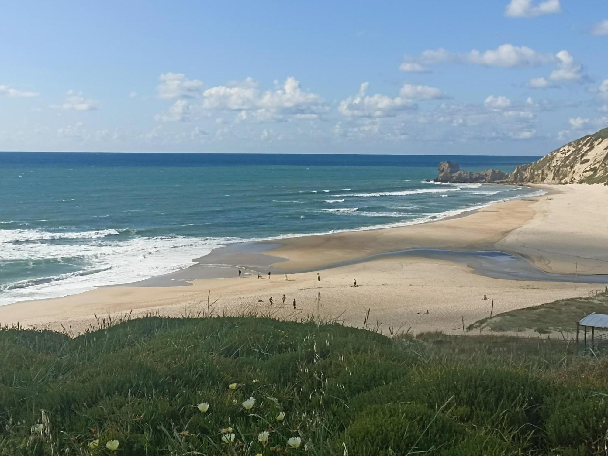 Tinyhouse Tilda - Near Famous Beaches Pataias Eksteriør billede