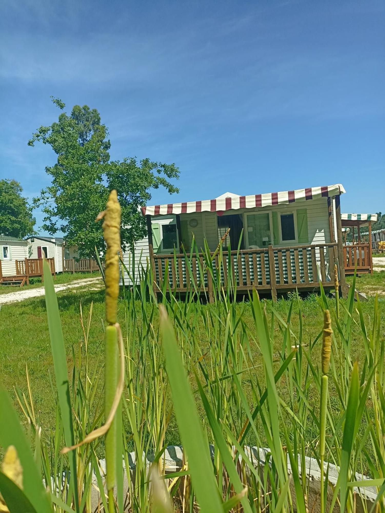 Tinyhouse Tilda - Near Famous Beaches Pataias Eksteriør billede